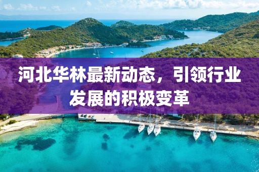 河北华林最新动态，引领行业发展的积极变革