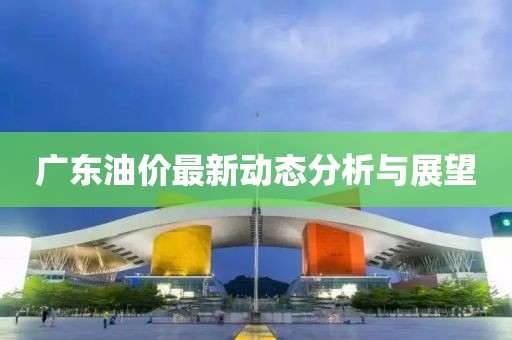 广东油价最新动态分析与展望