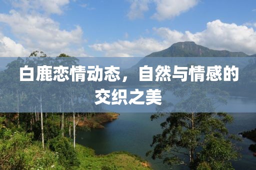 白鹿恋情动态，自然与情感的交织之美