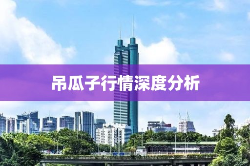 吊瓜子行情深度分析