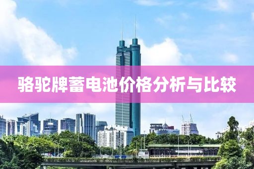 骆驼牌蓄电池价格分析与比较