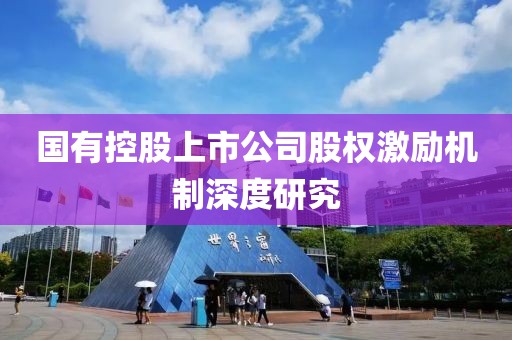 国有控股上市公司股权激励机制深度研究