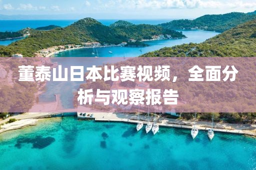 董泰山日本比赛视频，全面分析与观察报告