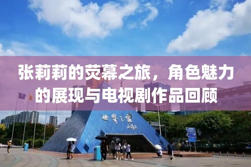 张莉莉的荧幕之旅，角色魅力的展现与电视剧作品回顾