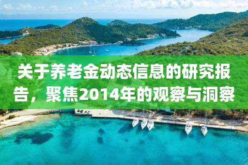 关于养老金动态信息的研究报告，聚焦2014年的观察与洞察