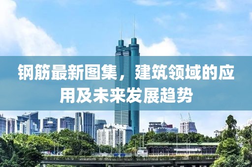 钢筋最新图集，建筑领域的应用及未来发展趋势
