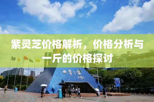 紫灵芝价格解析，价格分析与一斤的价格探讨