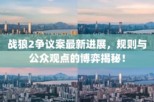 战狼2争议案最新进展，规则与公众观点的博弈揭秘！
