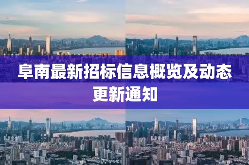 阜南最新招标信息概览及动态更新通知