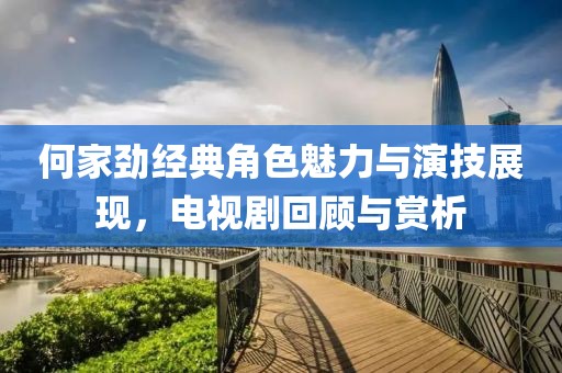 何家劲经典角色魅力与演技展现，电视剧回顾与赏析