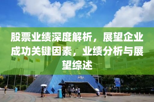 股票业绩深度解析，展望企业成功关键因素，业绩分析与展望综述