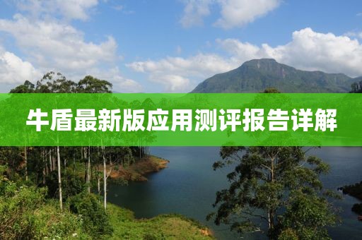 牛盾最新版应用测评报告详解