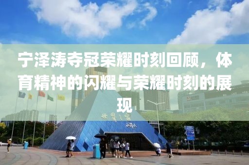 宁泽涛夺冠荣耀时刻回顾，体育精神的闪耀与荣耀时刻的展现