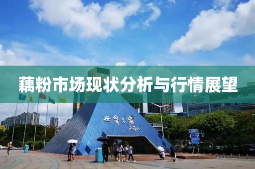 藕粉市场现状分析与行情展望