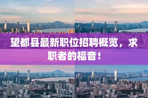望都县最新职位招聘概览，求职者的福音！