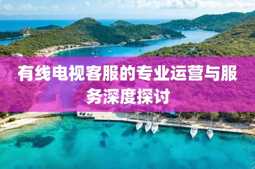 有线电视客服的专业运营与服务深度探讨