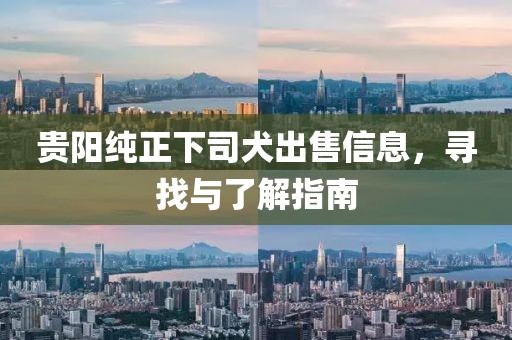 贵阳纯正下司犬出售信息，寻找与了解指南