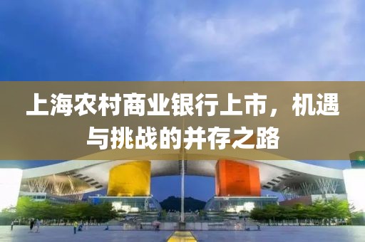 上海农村商业银行上市，机遇与挑战的并存之路