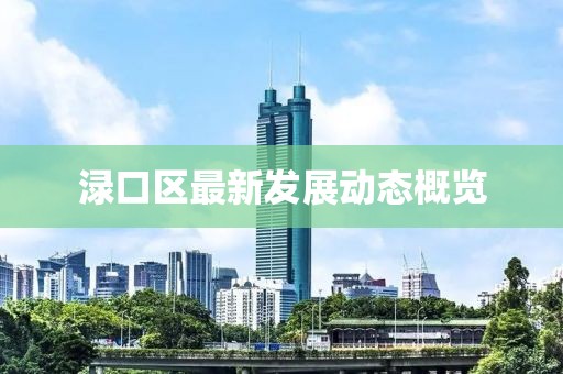渌口区最新发展动态概览
