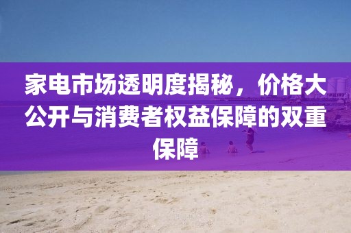 家电市场透明度揭秘，价格大公开与消费者权益保障的双重保障