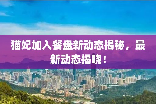 猫妃加入餐盘新动态揭秘，最新动态揭晓！