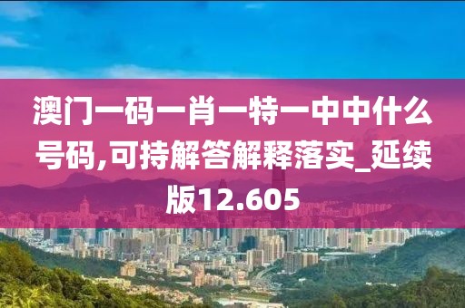 澳门一码一肖一特一中中什么号码,可持解答解释落实_延续版12.605