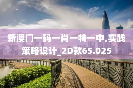 新澳门一码一肖一特一中,实践策略设计_2D款65.025
