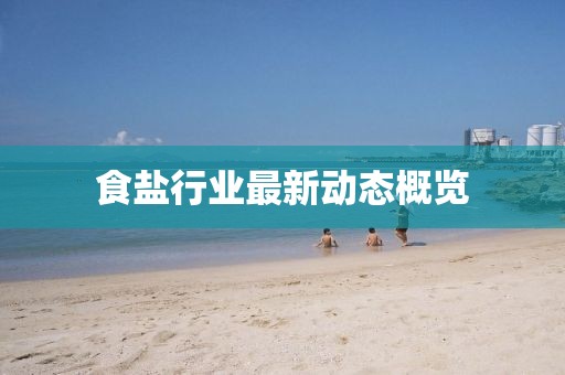 食盐行业最新动态概览