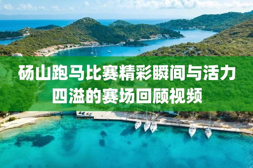 砀山跑马比赛精彩瞬间与活力四溢的赛场回顾视频