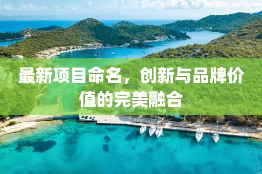 最新项目命名，创新与品牌价值的完美融合