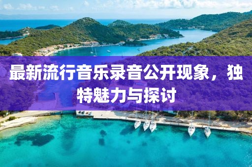 最新流行音乐录音公开现象，独特魅力与探讨