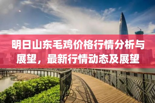 明日山东毛鸡价格行情分析与展望，最新行情动态及展望