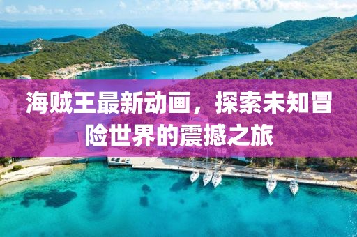 海贼王最新动画，探索未知冒险世界的震撼之旅