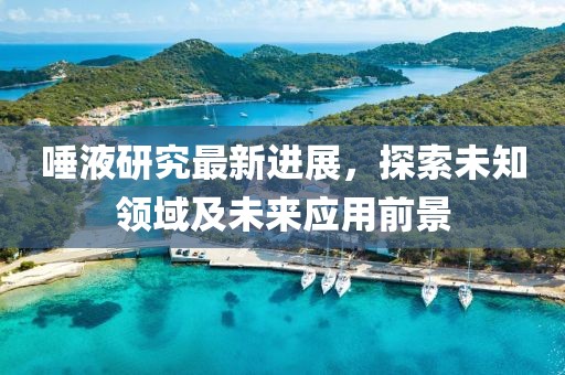 唾液研究最新进展，探索未知领域及未来应用前景