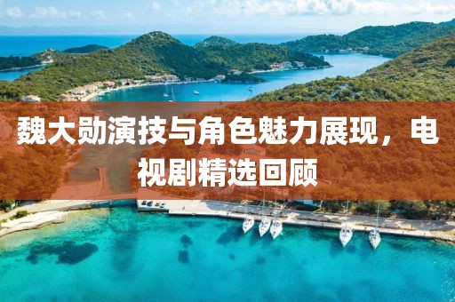 魏大勋演技与角色魅力展现，电视剧精选回顾