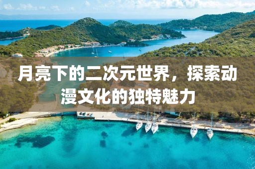 月亮下的二次元世界，探索动漫文化的独特魅力