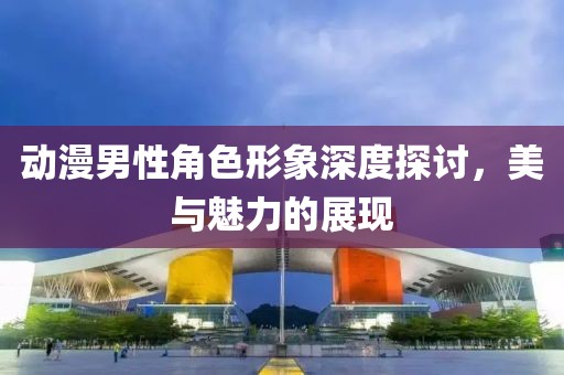 动漫男性角色形象深度探讨，美与魅力的展现