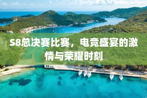 S8总决赛比赛，电竞盛宴的激情与荣耀时刻