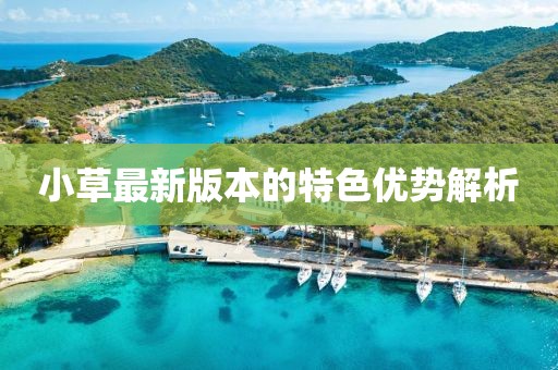 小草最新版本的特色优势解析