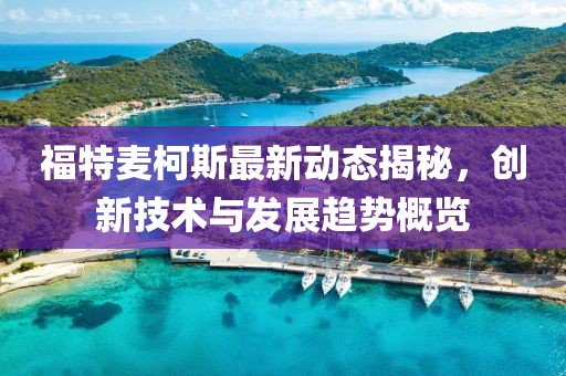 福特麦柯斯最新动态揭秘，创新技术与发展趋势概览