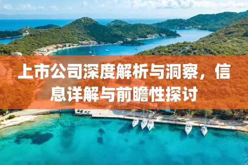 上市公司深度解析与洞察，信息详解与前瞻性探讨