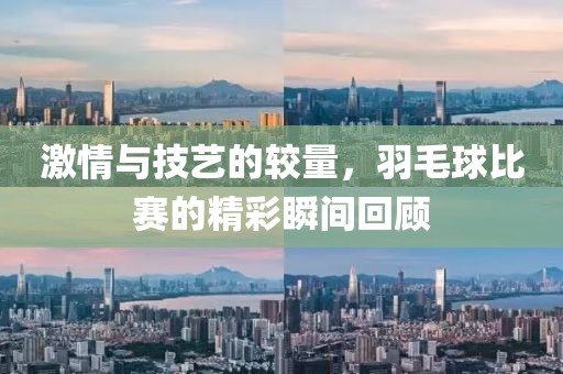 激情与技艺的较量，羽毛球比赛的精彩瞬间回顾