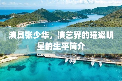 演员张少华，演艺界的璀璨明星的生平简介