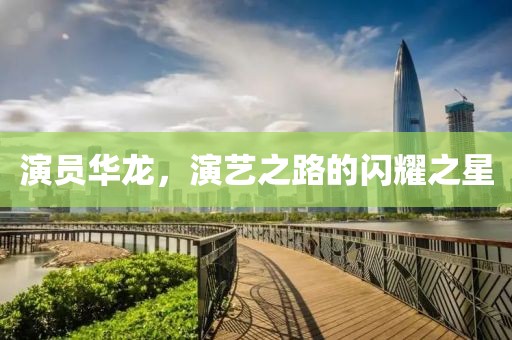 演员华龙，演艺之路的闪耀之星
