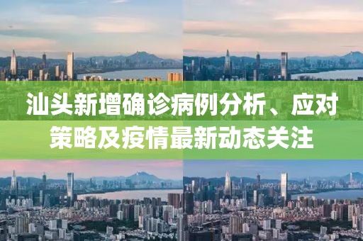 汕头新增确诊病例分析、应对策略及疫情最新动态关注