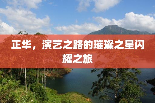 正华，演艺之路的璀璨之星闪耀之旅
