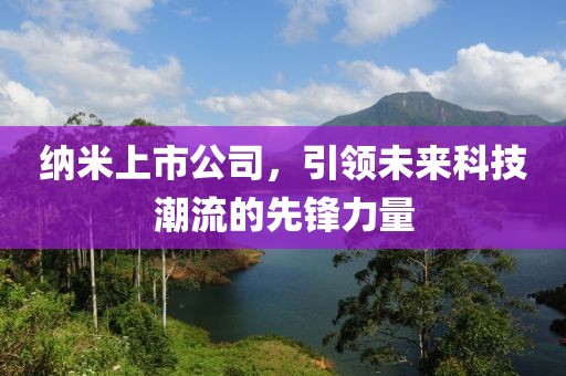 纳米上市公司，引领未来科技潮流的先锋力量