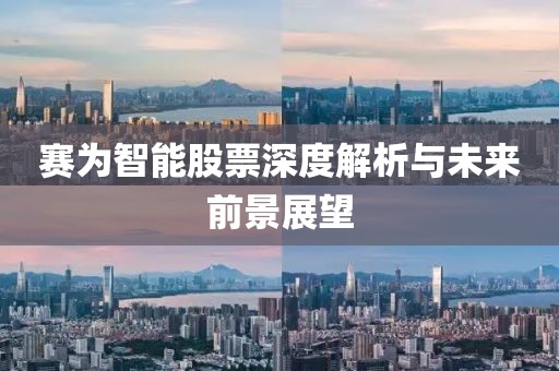 赛为智能股票深度解析与未来前景展望