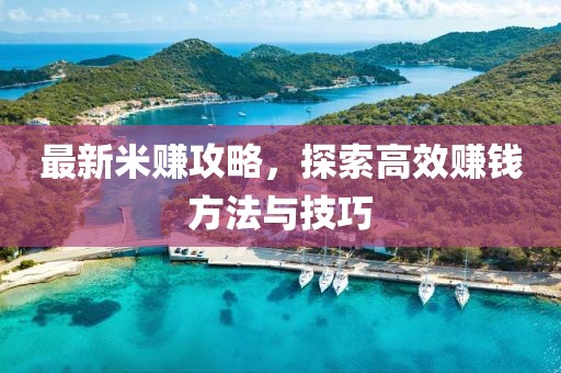 最新米赚攻略，探索高效赚钱方法与技巧