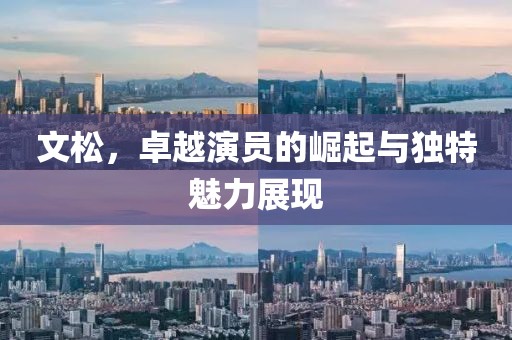 文松，卓越演员的崛起与独特魅力展现